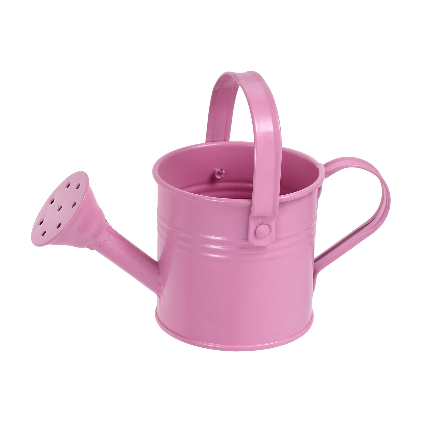 Watering Can - Mini Galvanized Watering Can for Indoor
