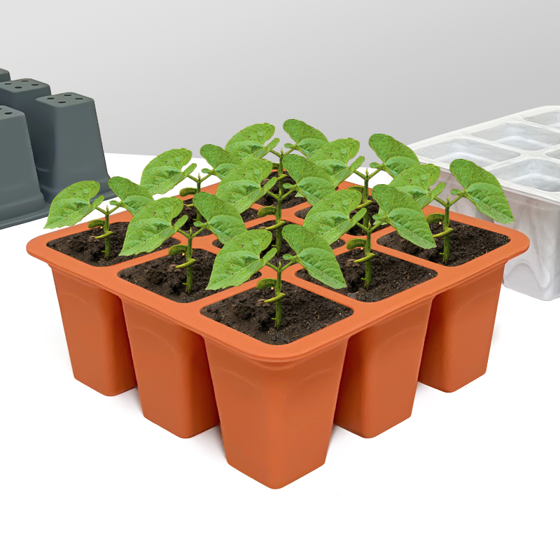 9 Cell Silicone Vegetable Seed - đánh giá và giá Seed Starter Tray