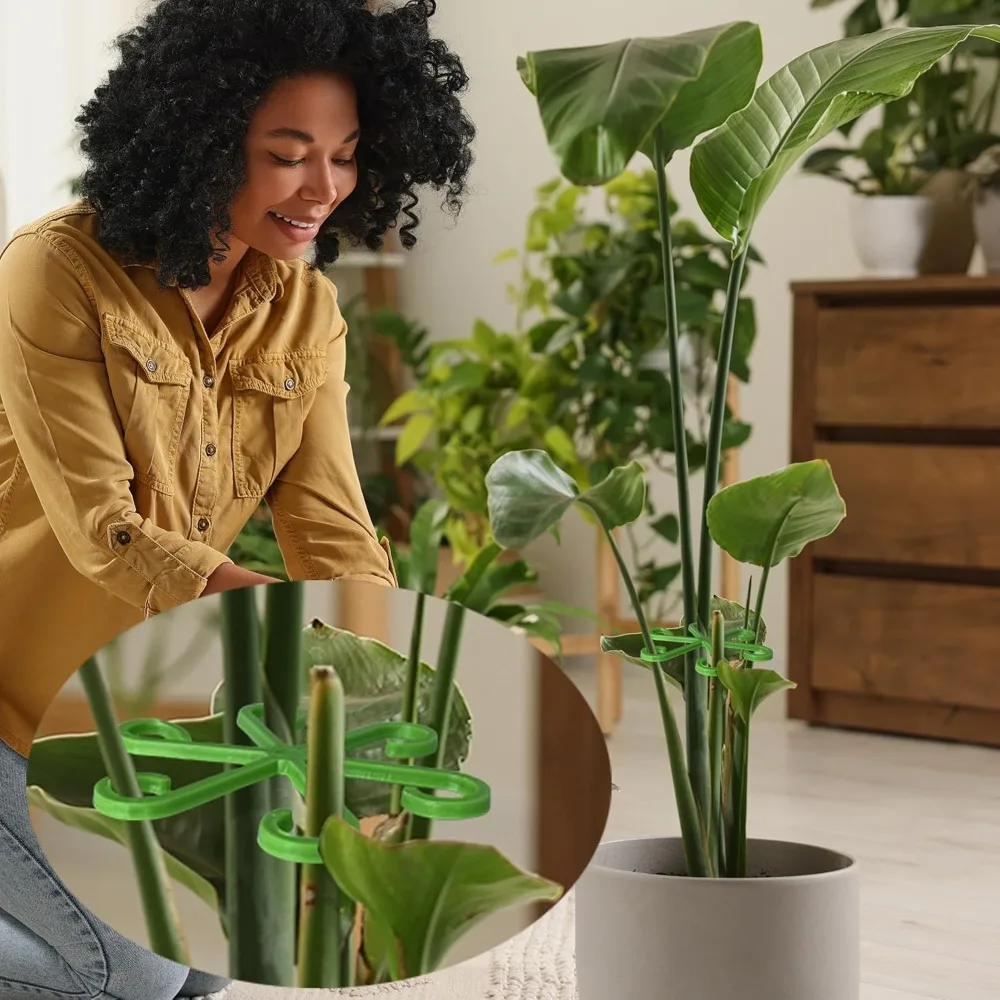 Giá đỡ thân cây, cọc chống cho - đánh giá và giá Indoor Herb Garden