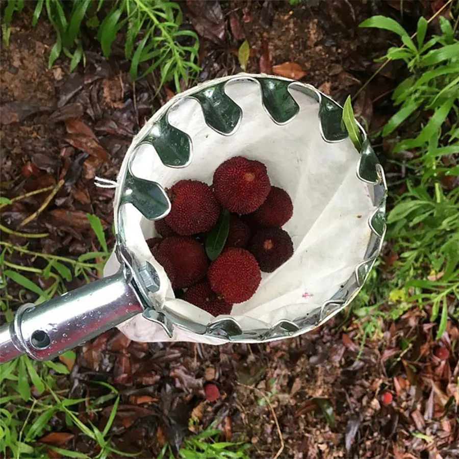 3-in-1 Fruit Harvesting Tool S - đánh giá và giá Grow Bag