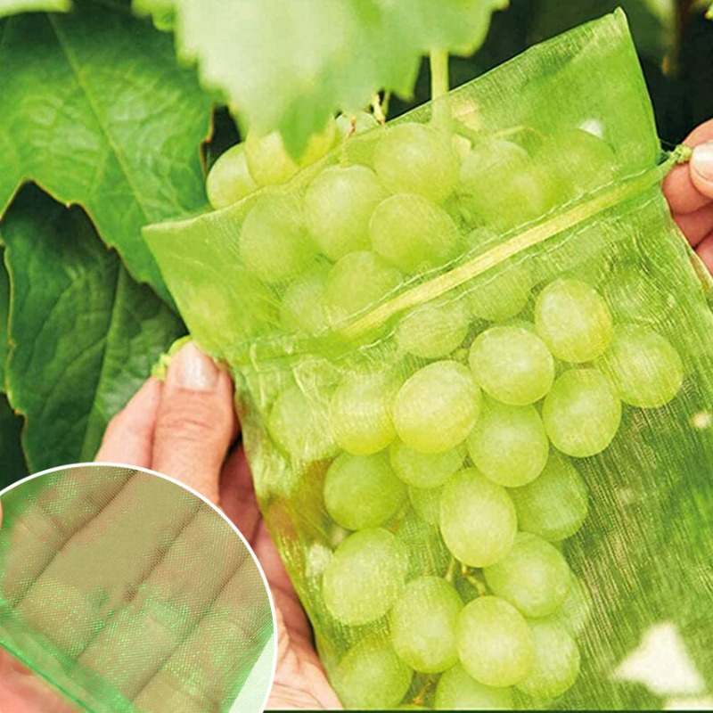 10/120x Organza Fruits Protect - đánh giá và giá Grow Bag
