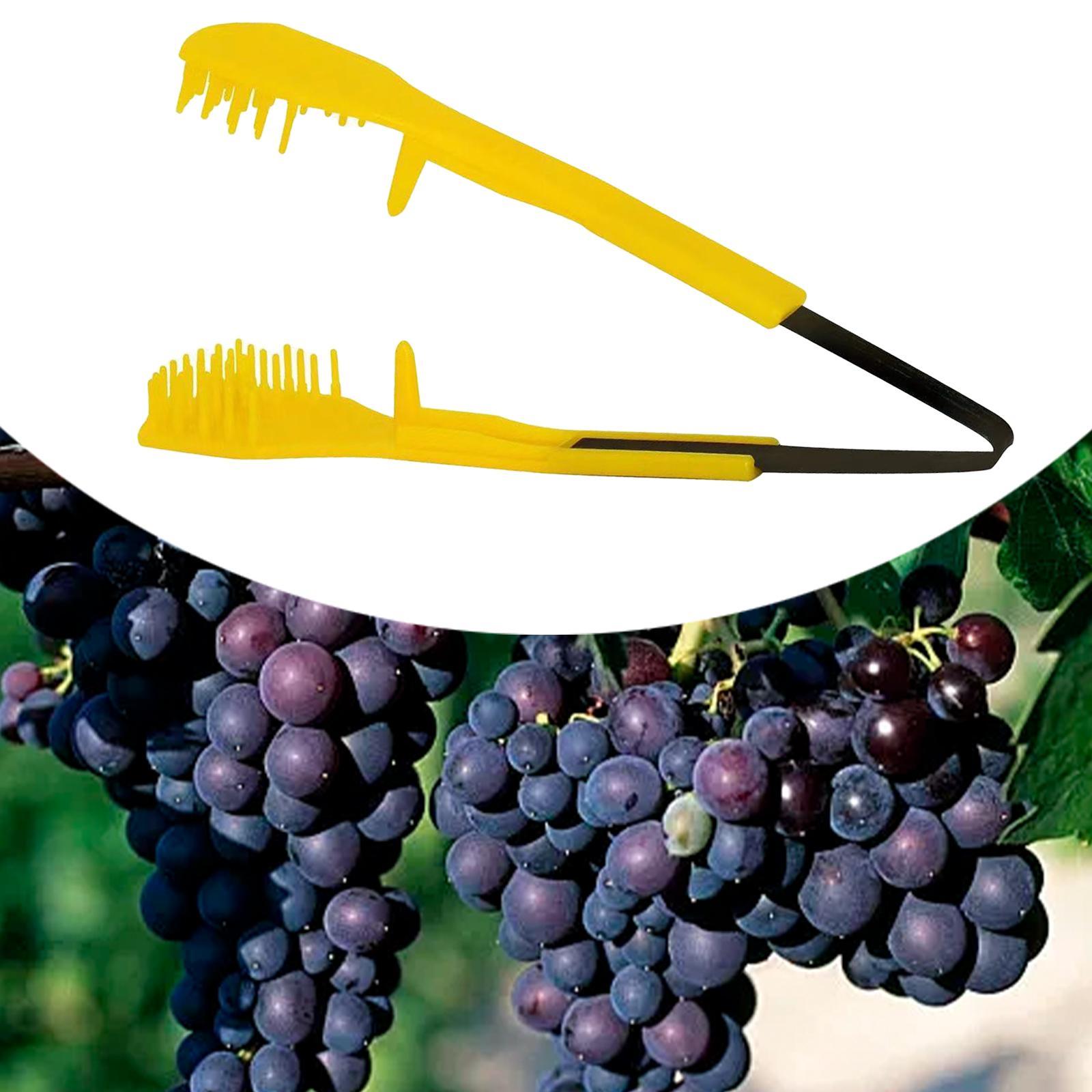 Standard Pruning Shears Compac - đánh giá và giá Pruning Shears