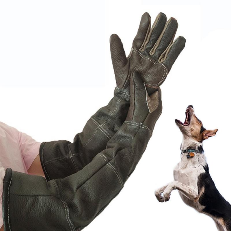 Pet Gloves Cowhide Leather Ant - đánh giá và giá Garden Gloves
