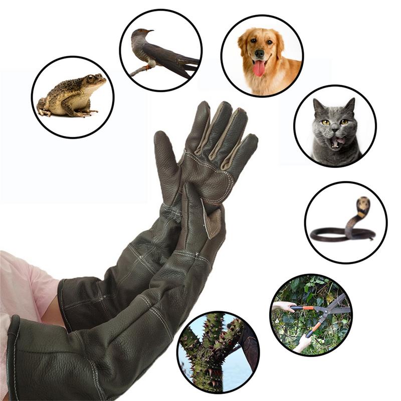 Pet Gloves Cowhide Leather Ant - đánh giá và giá Garden Gloves