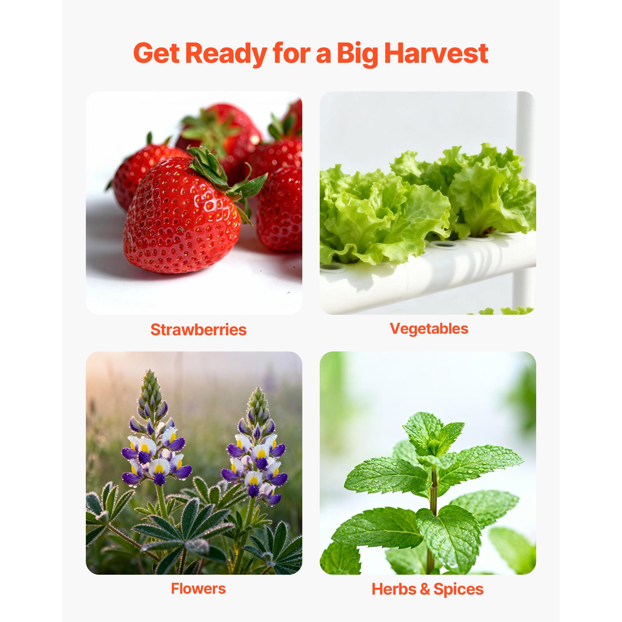 3 Tier 90 Sites Hydroponic Gro - đánh giá và giá Hydroponic Kit