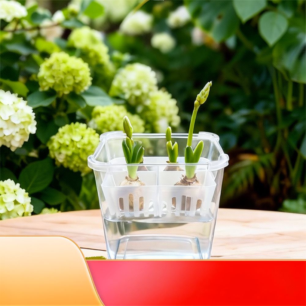 Hydroponic Vase For Tulip Lily - đánh giá và giá Plant Pot