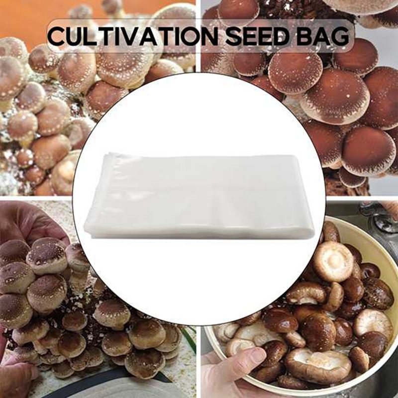 50 Count Mushroom Bags/Mushroo - đánh giá và giá Grow Bag