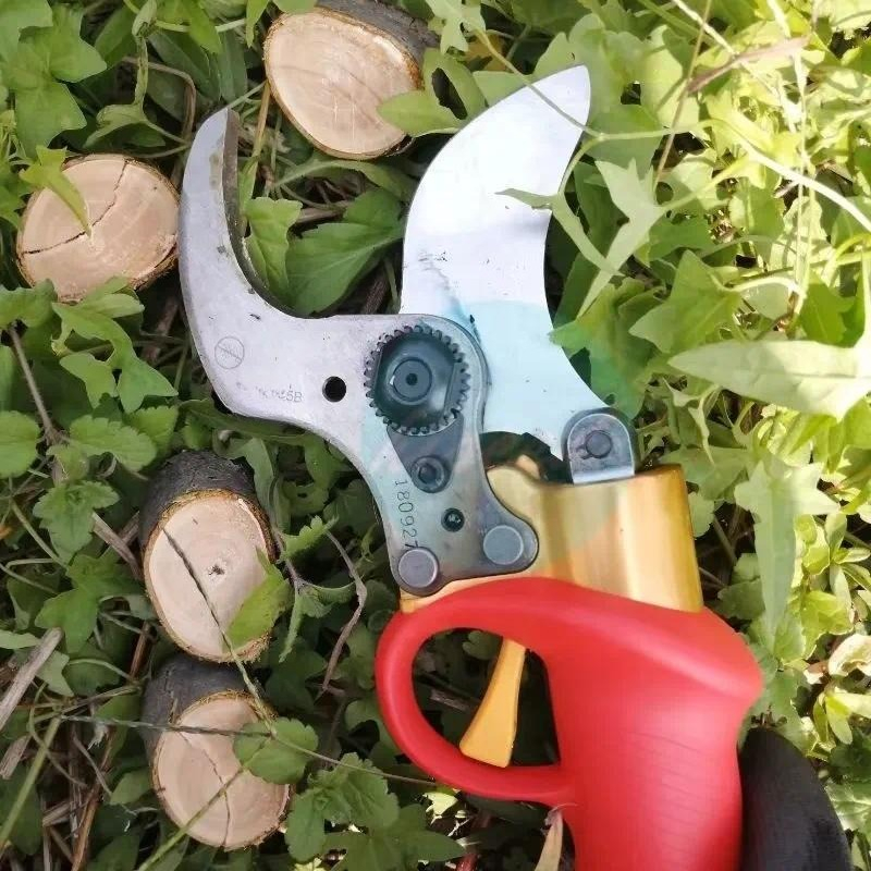 Battery Powered Pruning Shears - đánh giá và giá Pruning Shears