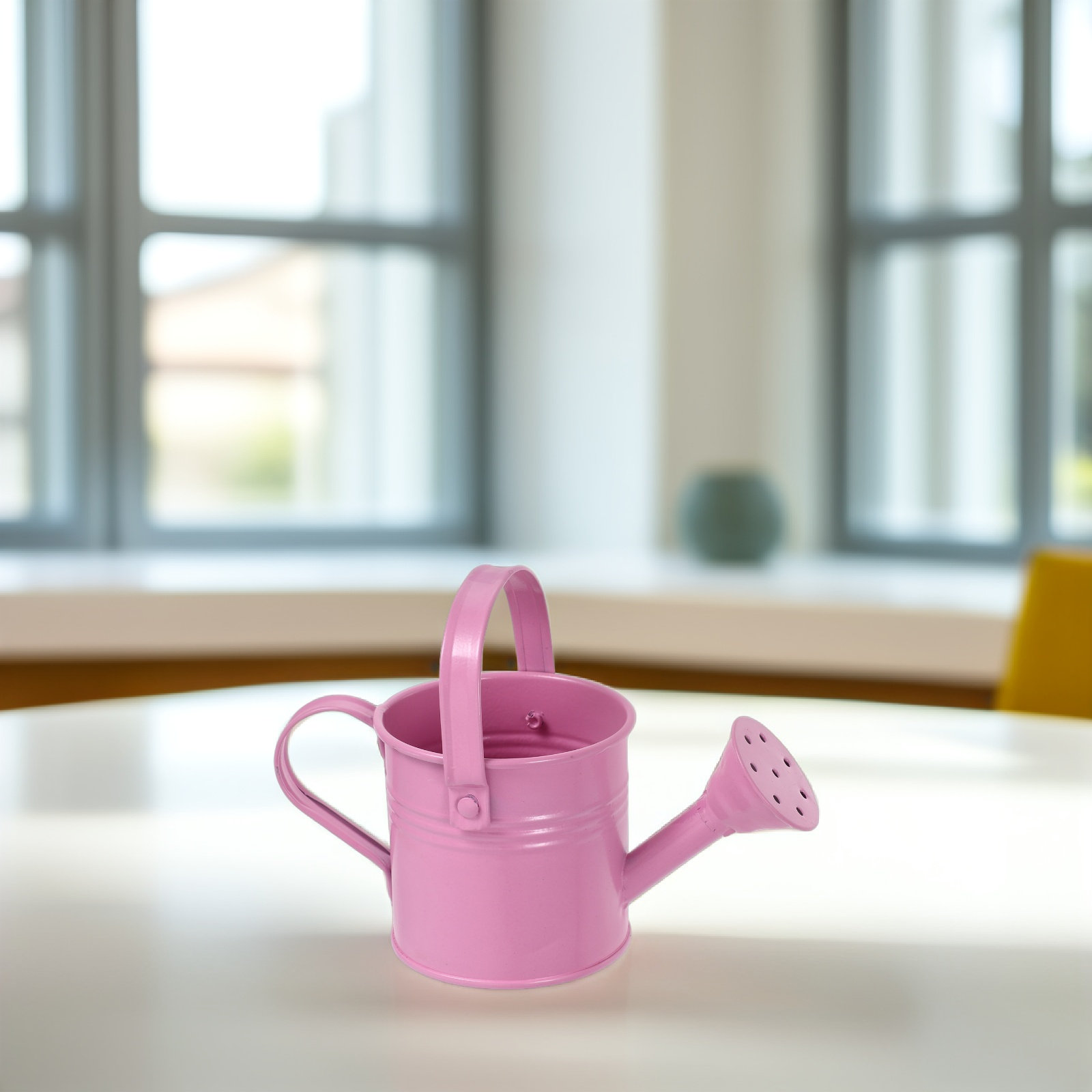 Mini Galvanized Watering Can f - đánh giá và giá Watering Can