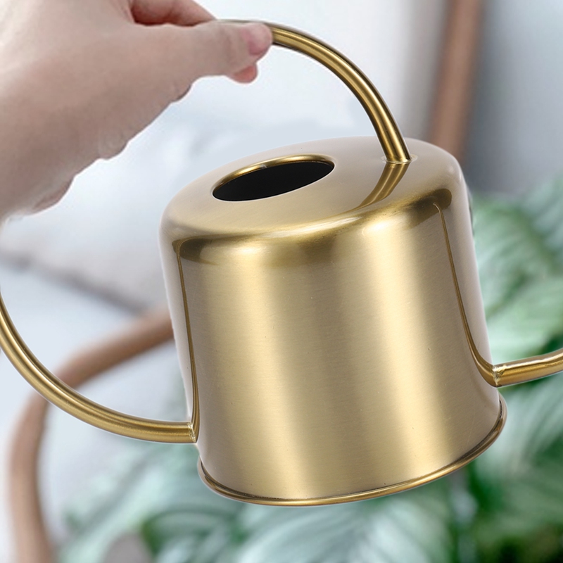 RALCA-Watering Can Golden Gard - đánh giá và giá Watering Can