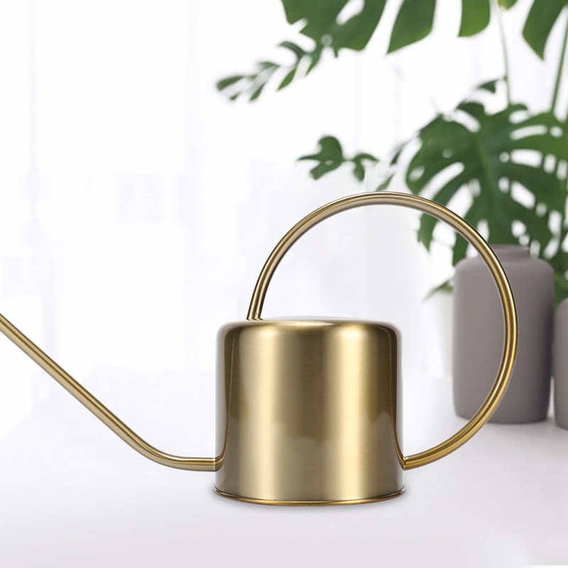 RALCA-Watering Can Golden Gard - đánh giá và giá Watering Can