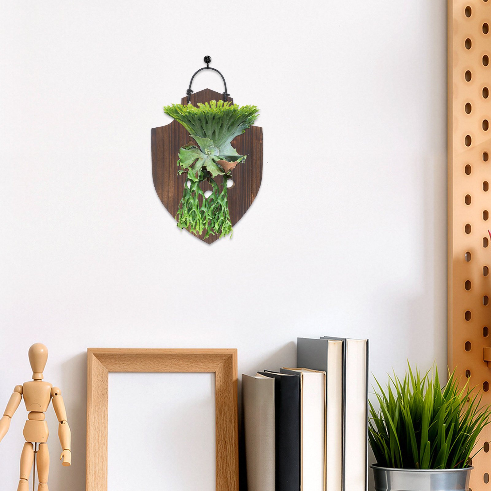 Wooden Plant Mounting Board So - đánh giá và giá Vertical Planter