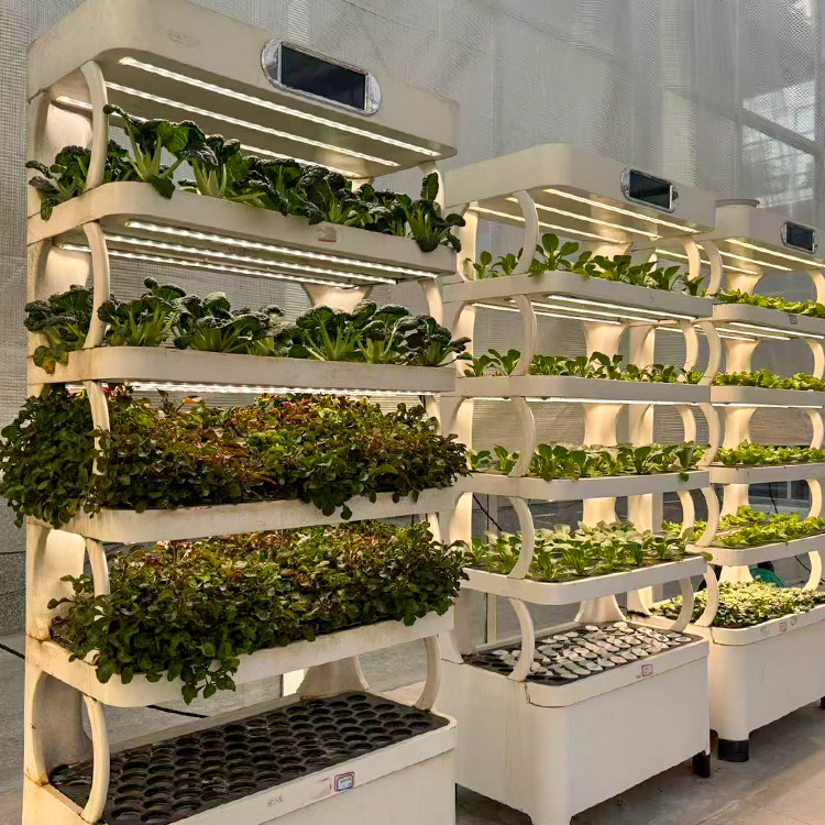 Intelligent Indoor Garden Plan - đánh giá và giá Grow Light Led